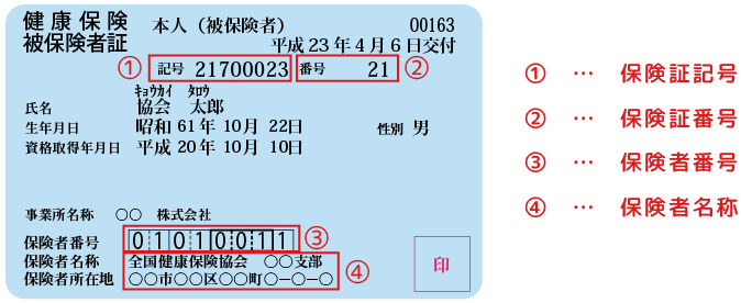 保険証サンプル