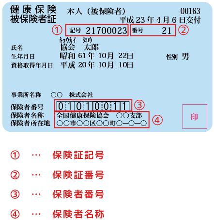 保険証サンプル