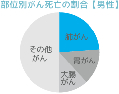 部位別がん死亡の割合【男性】