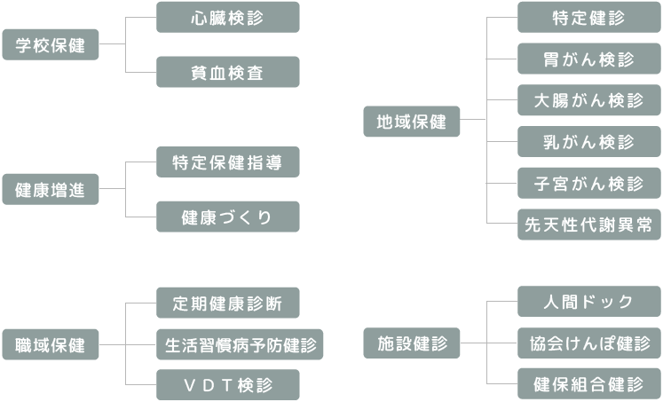 主な事業内容